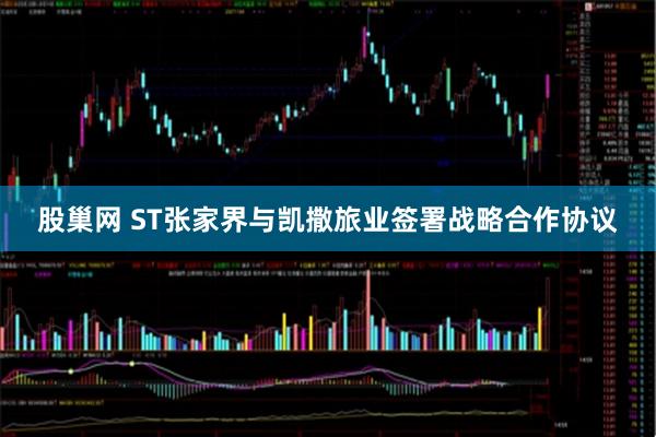 股巢网 ST张家界与凯撒旅业签署战略合作协议