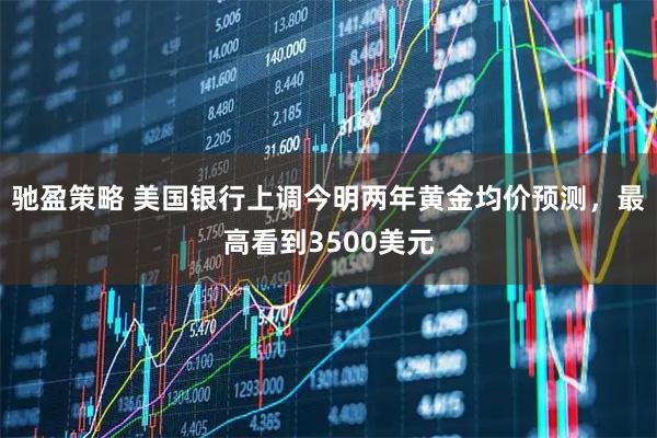 驰盈策略 美国银行上调今明两年黄金均价预测，最高看到3500美元