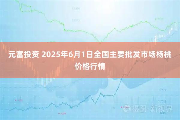 元富投资 2025年6月1日全国主要批发市场杨桃价格行情